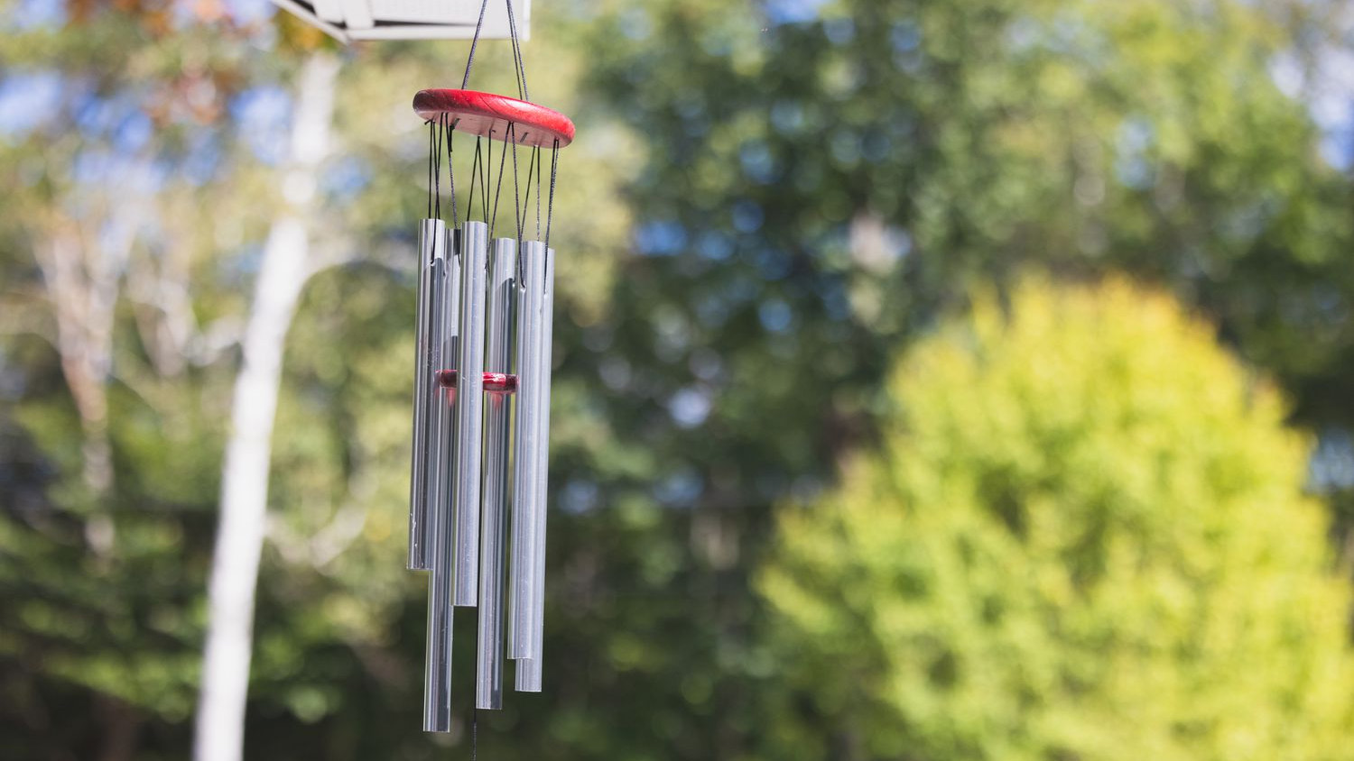 Optimal Garden Care 1 Optimal Garden Care -Optimal Garden Care 1