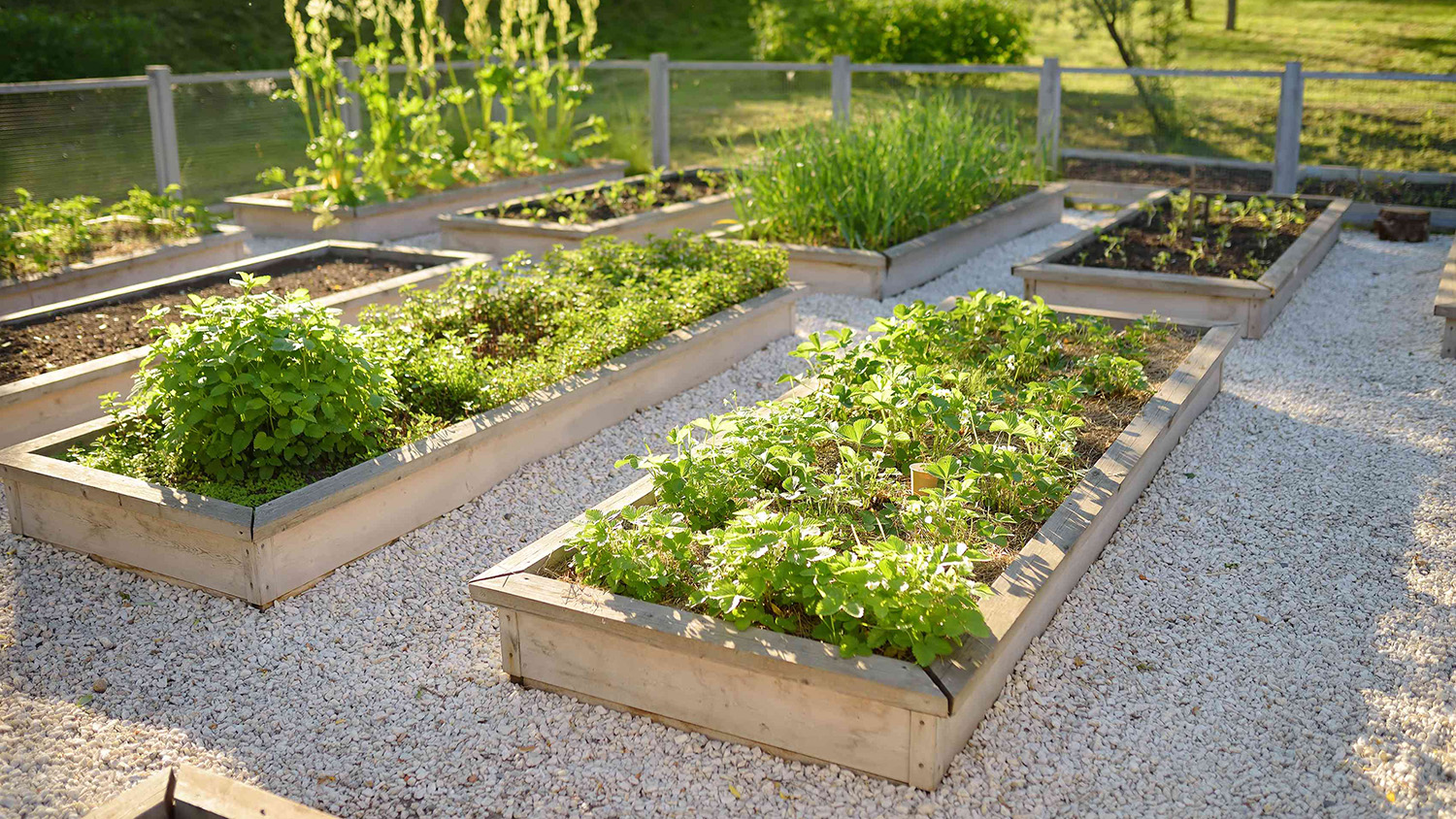 Optimal Garden Care 3 Optimal Garden Care -Optimal Garden Care 2