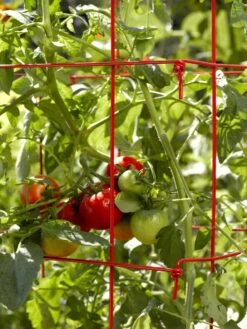 Tomato Cages, Set Of 4 -Optimal Garden Care 34182 592