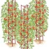 Tomato Ladders, Set Of 3 1 Tomato Ladders, Set Of 3 -Optimal Garden Care 38185 001E psd