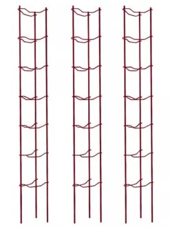 Tomato Ladders, Set Of 3 11 Tomato Ladders, Set Of 3 -Optimal Garden Care 38185 002E psd