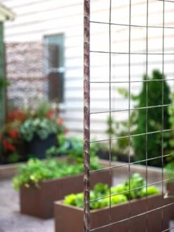 Jardin Rose Arch -Optimal Garden Care 38690 9948 tif