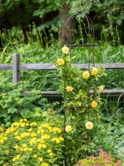 Jardin Round Obelisk, 7' -Optimal Garden Care 39 530 1668 tif