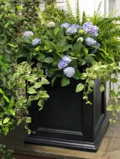 Fairfield Self-Watering Square Planter, 20” X 20” -Optimal Garden Care 39 618 205V tif