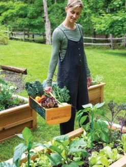 Garden Hods -Optimal Garden Care 39 761 0146 tif