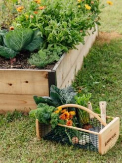 Garden Hods -Optimal Garden Care 39 761 572 tif