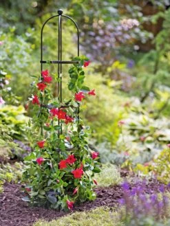 Essex Round Trellises 13 Essex Round Trellises -Optimal Garden Care 39544 2267 tif
