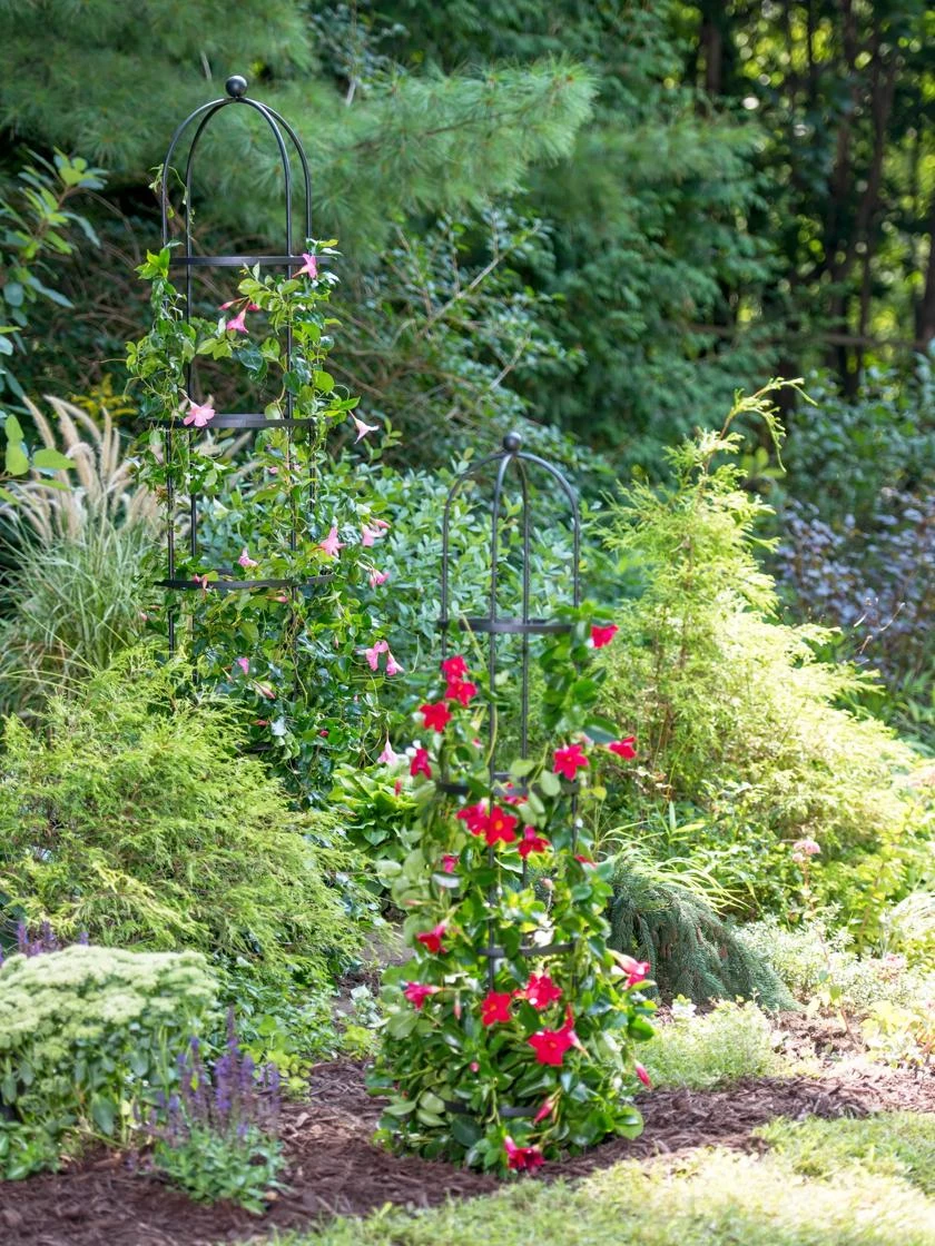 Essex Round Trellises 6 Essex Round Trellises - Image 4