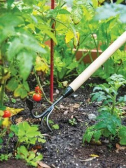 Gardener's Lifetime Long-Handled Double Tool -Optimal Garden Care 3 4 crop 8592107 2460 tif