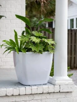 Viva Square Self-Watering Rolling Planter, 20" Diameter, Set Of 2 -Optimal Garden Care 3 4 crop 8612930 0033 tif