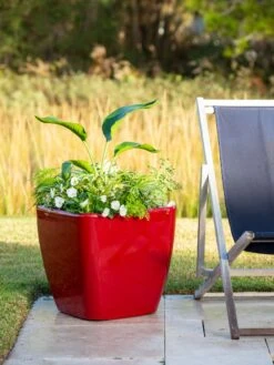 Viva Square Self-Watering Rolling Planter, 20" Diameter, Set Of 2 -Optimal Garden Care 3 4 crop 8612930 0035 tif