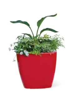 Viva Square Self-Watering Rolling Planter, 20" Diameter, Set Of 2 -Optimal Garden Care 3 4 crop 8612930 0037 tif