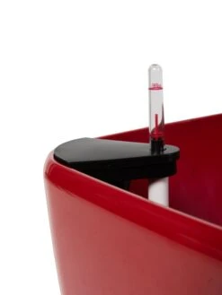 Viva Square Self-Watering Rolling Planter, 20" Diameter, Set Of 2 -Optimal Garden Care 3 4 crop 8612930 0107