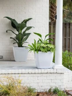 Viva Square Self-Watering Rolling Planter, 20" Diameter, Set Of 2 -Optimal Garden Care 3 4 crop 8612930 10031