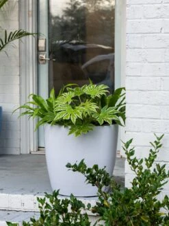 Viva Round Self-Watering Rolling Planter, 20" Diameter, Set Of 2 -Optimal Garden Care 3 4 crop 8612933 0025 tif