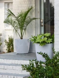 Viva Round Self-Watering Rolling Planter, 20" Diameter, Set Of 2 -Optimal Garden Care 3 4 crop 8612933 10023