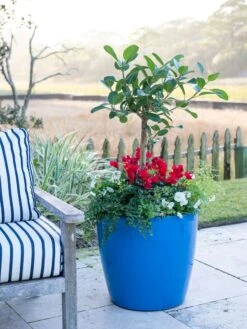 Viva Round Self-Watering Rolling Planter, 20" Diameter, Set Of 2 -Optimal Garden Care 3 4 crop 8612933 5312 tif