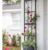 Essex Wall Trellis -Optimal Garden Care 3 4 crop 8613045 5324 3 4