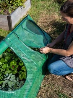 Multi Cloche -Optimal Garden Care 3 4 crop 8613213 0245