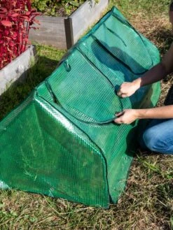 Multi Cloche -Optimal Garden Care 3 4 crop 8613213 0250