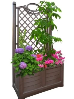 Separate Flower Box With Trellis -Optimal Garden Care 3 4 crop 8613626 04V