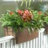Self-Watering Railing Planter -Optimal Garden Care 40145 040 tif