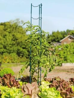 Stacking Tomato Ladders, Set Of 6 -Optimal Garden Care 40309 100 tif