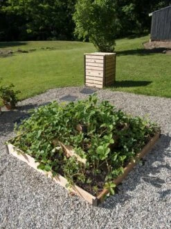 3-Tier Strawberry Bed -Optimal Garden Care 8586752 2341 tif