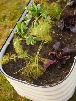 Birdies™ Modular Metal Raised Bed -Optimal Garden Care 8586930 6019 tif