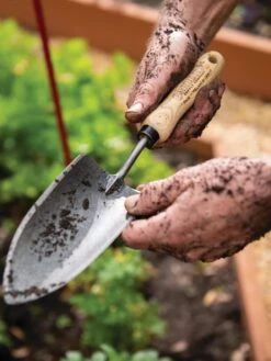 Gardener's Lifetime Trowel 13 Gardener's Lifetime Trowel -Optimal Garden Care 8586972 3242 tif