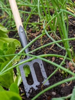 Gardener's Lifetime Spork 10 Gardener's Lifetime Spork -Optimal Garden Care 8586973 2383 tif