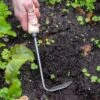 Gardener's Lifetime Cape Cod Weeder, Right-Handed -Optimal Garden Care 8586974 2361 tif
