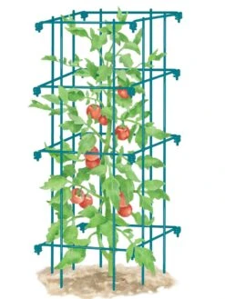 Tomato Cage, Single 8 Tomato Cage, Single -Optimal Garden Care 8587039 TomatoCage BLUE tif