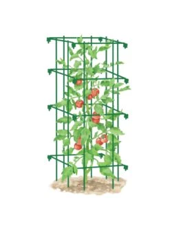 Tomato Cage, Single 9 Tomato Cage, Single -Optimal Garden Care 8587039 TomatoCage GRN tif