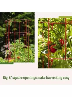 Tomato Cages, Set Of 4 -Optimal Garden Care 8587040 2