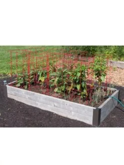 Pepper And Eggplant Cages, Set Of 3 -Optimal Garden Care 8587048 6008 3 4