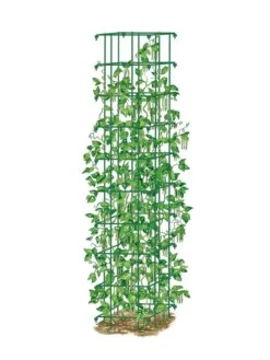 Bean Tower 13 Bean Tower -Optimal Garden Care 8587060 0008 GRN tif