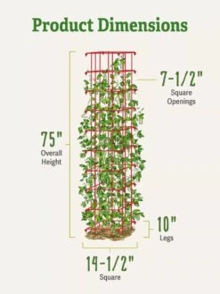 Bean Tower 11 Bean Tower -Optimal Garden Care 8587060 dimensions