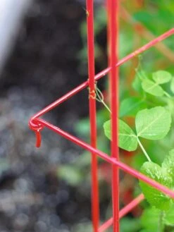 Tall Expandable Pea Trellis 9 Tall Expandable Pea Trellis -Optimal Garden Care 8587061 010 tif