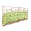 Expandable Pea Trellis -Optimal Garden Care 8587061 PeaFence Red 001E tif