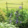 Jardin Ladder Trellis -Optimal Garden Care 8587107 1651 tif