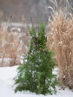 Jardin Pot Trellis -Optimal Garden Care 8587120 009 tif