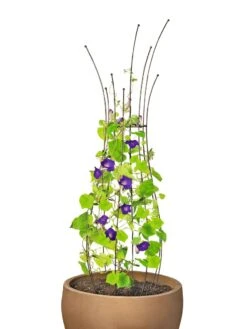Jardin Pot Trellis -Optimal Garden Care 8587120 1006 tif