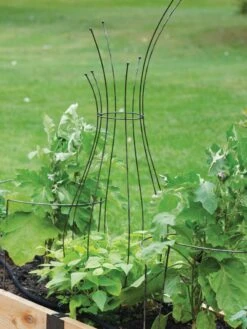 Jardin Pot Trellis -Optimal Garden Care 8587120 7037 tif