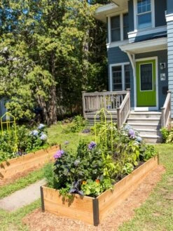 Zenith Folding Garden Supports, Set Of 2 -Optimal Garden Care 8587807 0801 tif