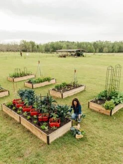 Deep Root Raised Beds, 14" Deep 4' Wide -Optimal Garden Care 8587813 505 tif