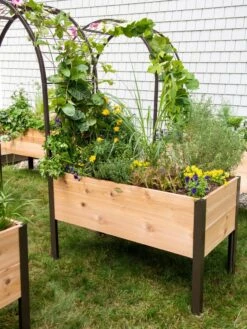 2’ X 4’ Arch Trellis For Planter Boxes 15 2’ X 4’ Arch Trellis For Planter Boxes -Optimal Garden Care 8587823 0490