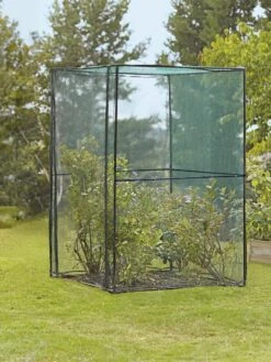 Crop Cage, 4' X 4' -Optimal Garden Care 8587832 149 tif