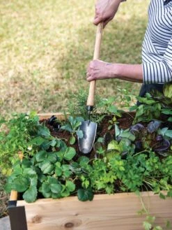 Gardener's Lifetime Raised Bed Trowel -Optimal Garden Care 8588014 4084 tif