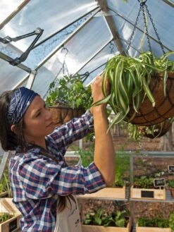 Canopia® By Palram Balance Greenhouse, 8' X 12' -Optimal Garden Care 8588023 07V jpg